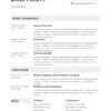 Professiolal Account CV Template