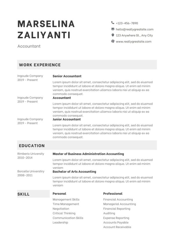 Professiolal Account CV Template