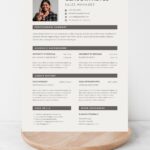 Sales Manager CV