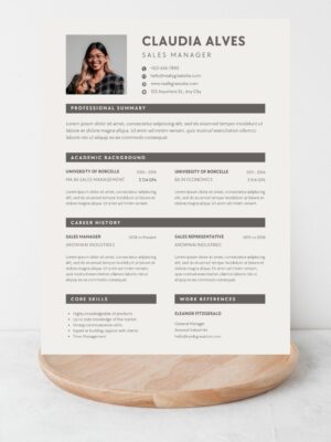 Sales Manager CV