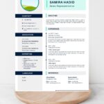 Professional Sales CV