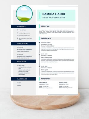 Professional Sales CV