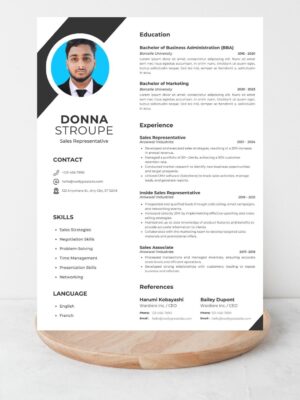 Professional CV Resume