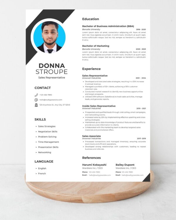 Professional CV Resume