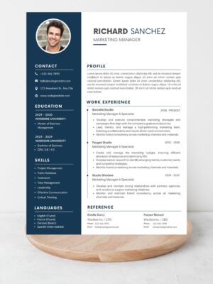 Professional marketing manager CV