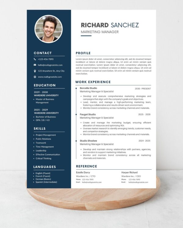 Professional marketing manager CV