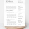 Marketing Manager Resume