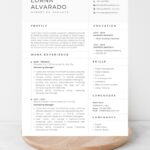 Marketing Manager Resume