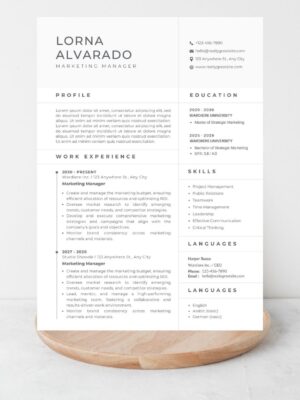 Marketing Manager Resume