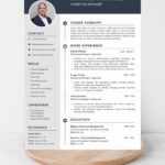 Professional CV Resume