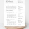 Professional Marketing Manager CV Resume