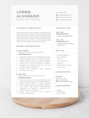 Professional Marketing Manager CV Resume