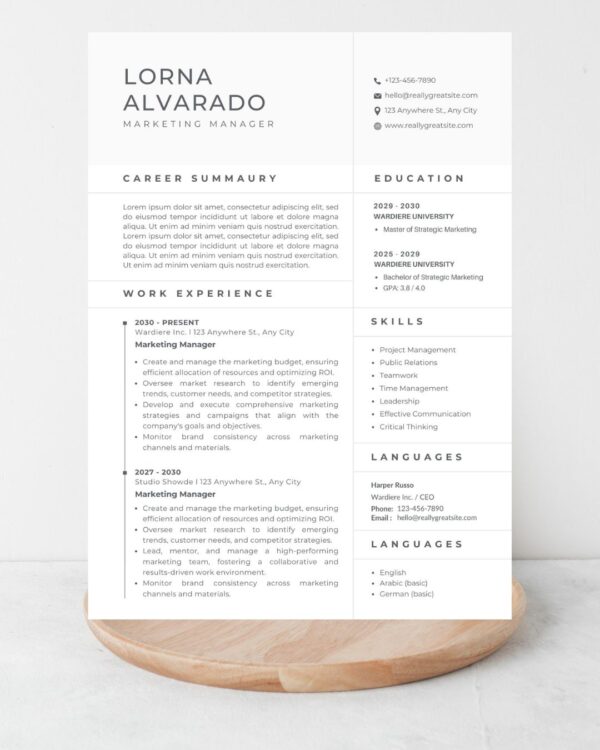 Professional Marketing Manager CV Resume