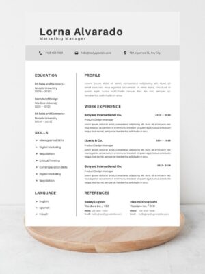 Professional Marketing USA Resume