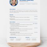 Simple Professional Marketing CV