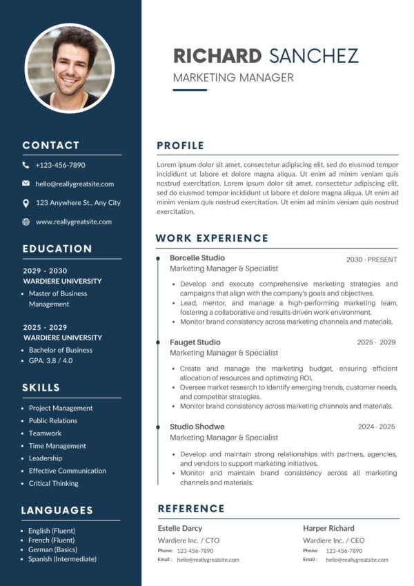 Professional marketing manager CV