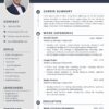 Professional CV Resume
