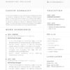 Professional Marketing Manager CV Resume