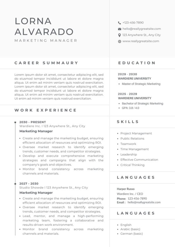 Professional Marketing Manager CV Resume