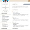 Sales Marketer CV Resume