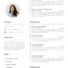 Professional Marketing CV