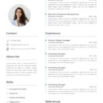 Professional Marketing CV