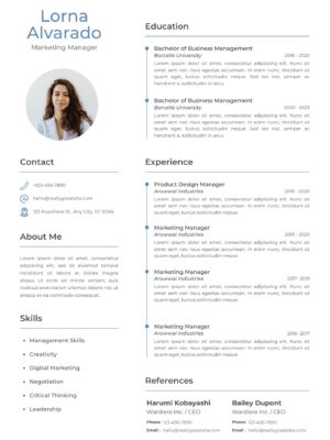 Professional Marketing CV