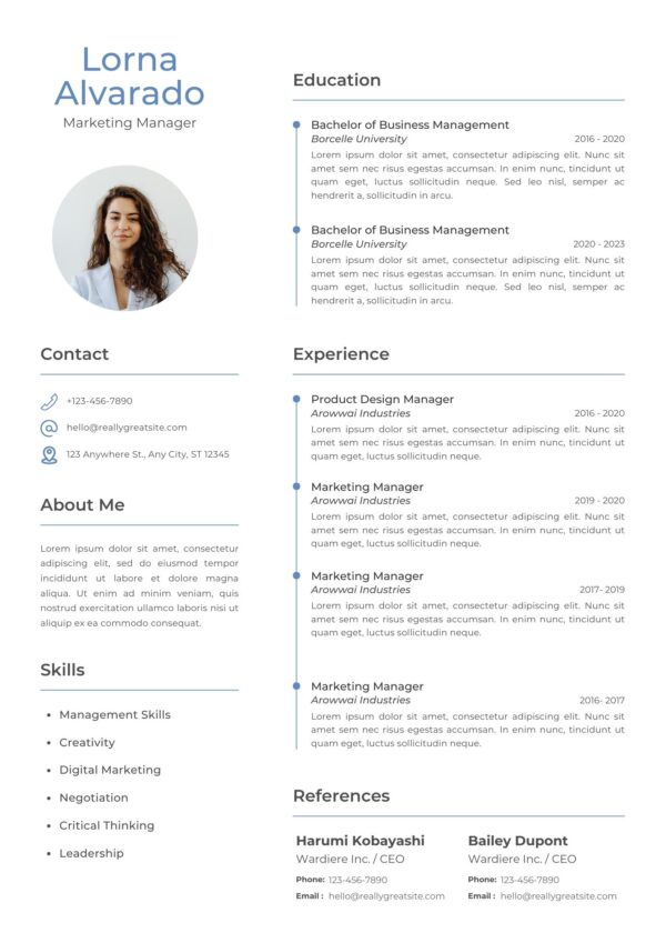 Professional Marketing CV