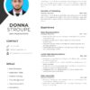 Professional CV Resume