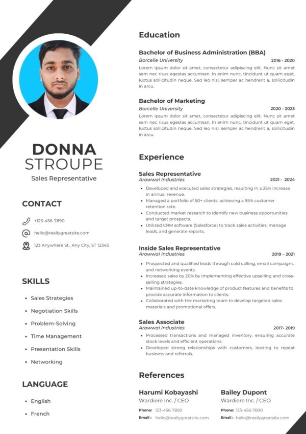 Professional CV Resume