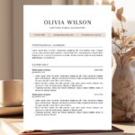 Professional Account Resume