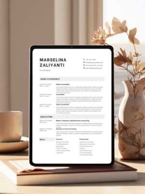 Professiolal Account CV Template