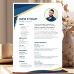 Accounting Professional CV Resume