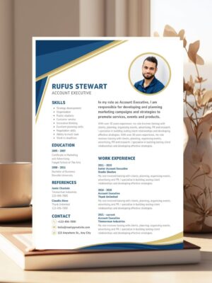 Accounting Professional CV Resume