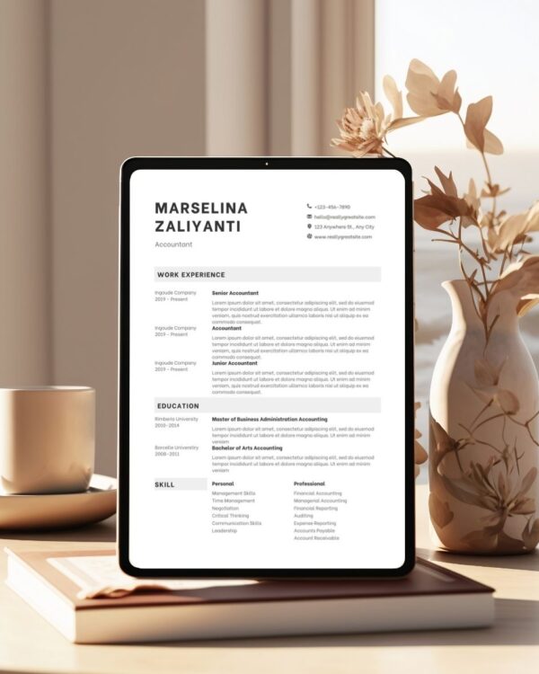 Professiolal Account CV Template