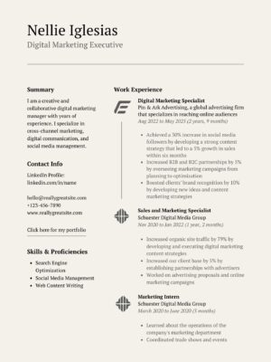 resume for digital marketing executive