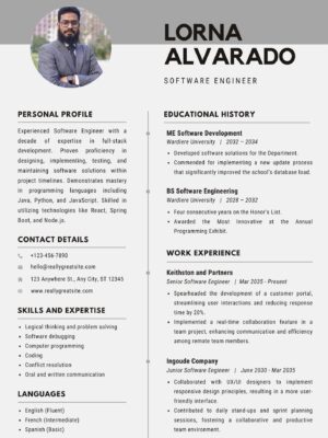 software engineer cv