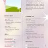 digital marketing cv