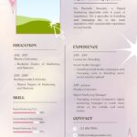 digital marketing cv