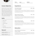 digital marketing resume