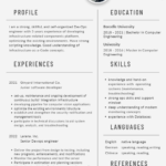 software engineer resume