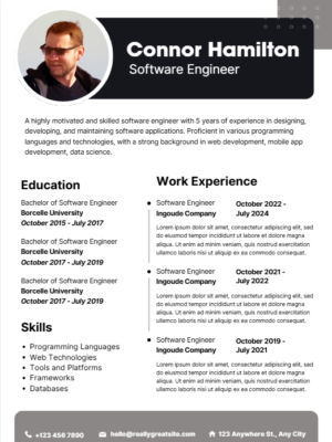 software developer cv template