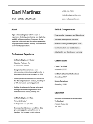 software engineer resume template word