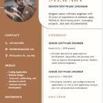 software developer resume template free