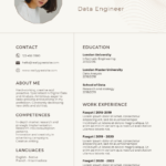 resume writing services for software engineer