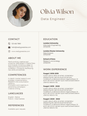 resume writing services for software engineer